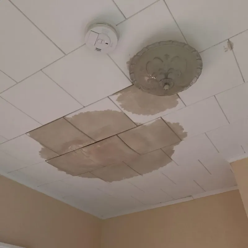 Ceiling Water Damage Repair in Garnett, KS