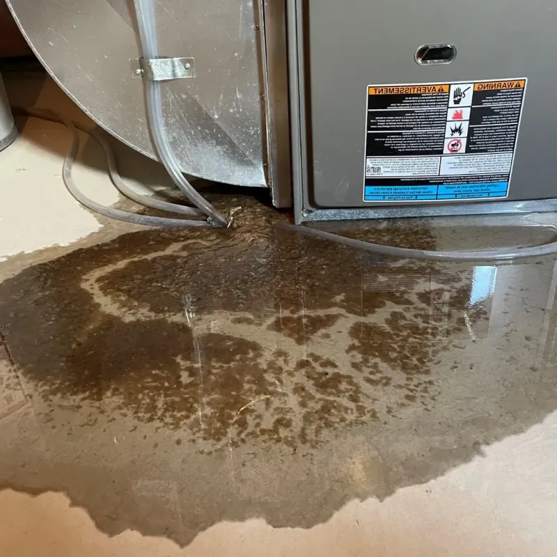 Pipe Burst and Leak Restoration in Garnett, KS