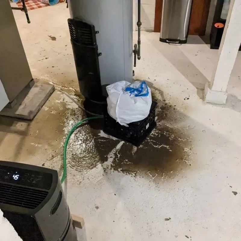 Sewage Backup Cleanup Service in Garnett, KS